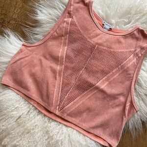 Pink Mesh Crop Top Sz M